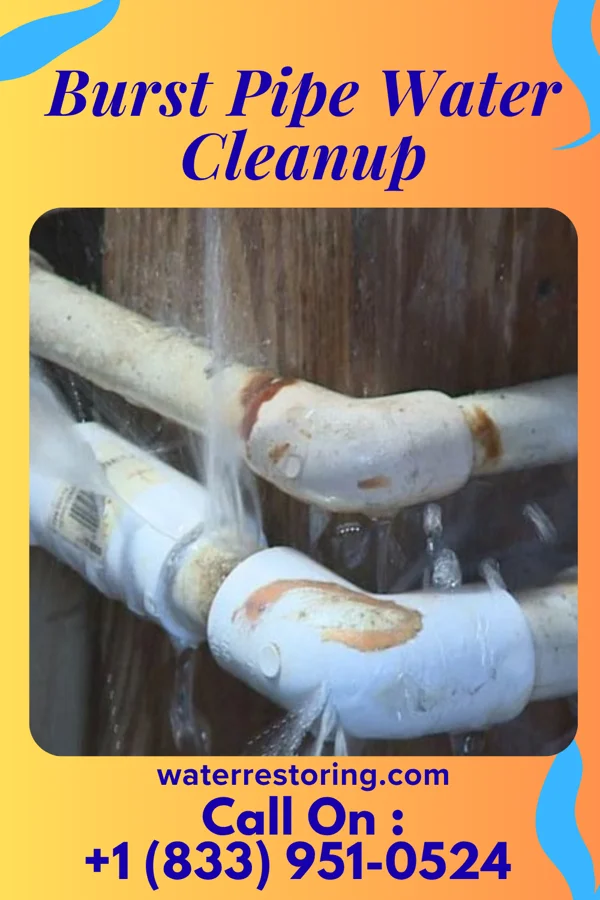 Burst Pipe Water Cleanup in Junction City, OH