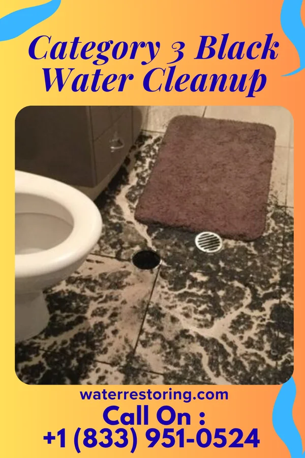 Category 3 Black Water Cleanup in Junction City, OH