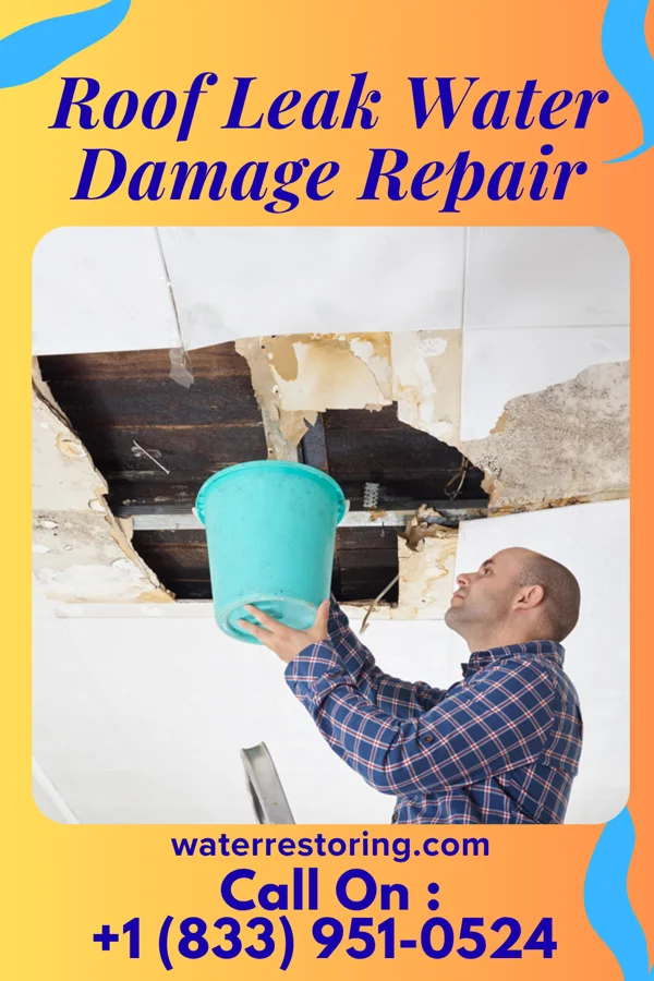 Roof Leak Water Damage Repair in Junction City, OH